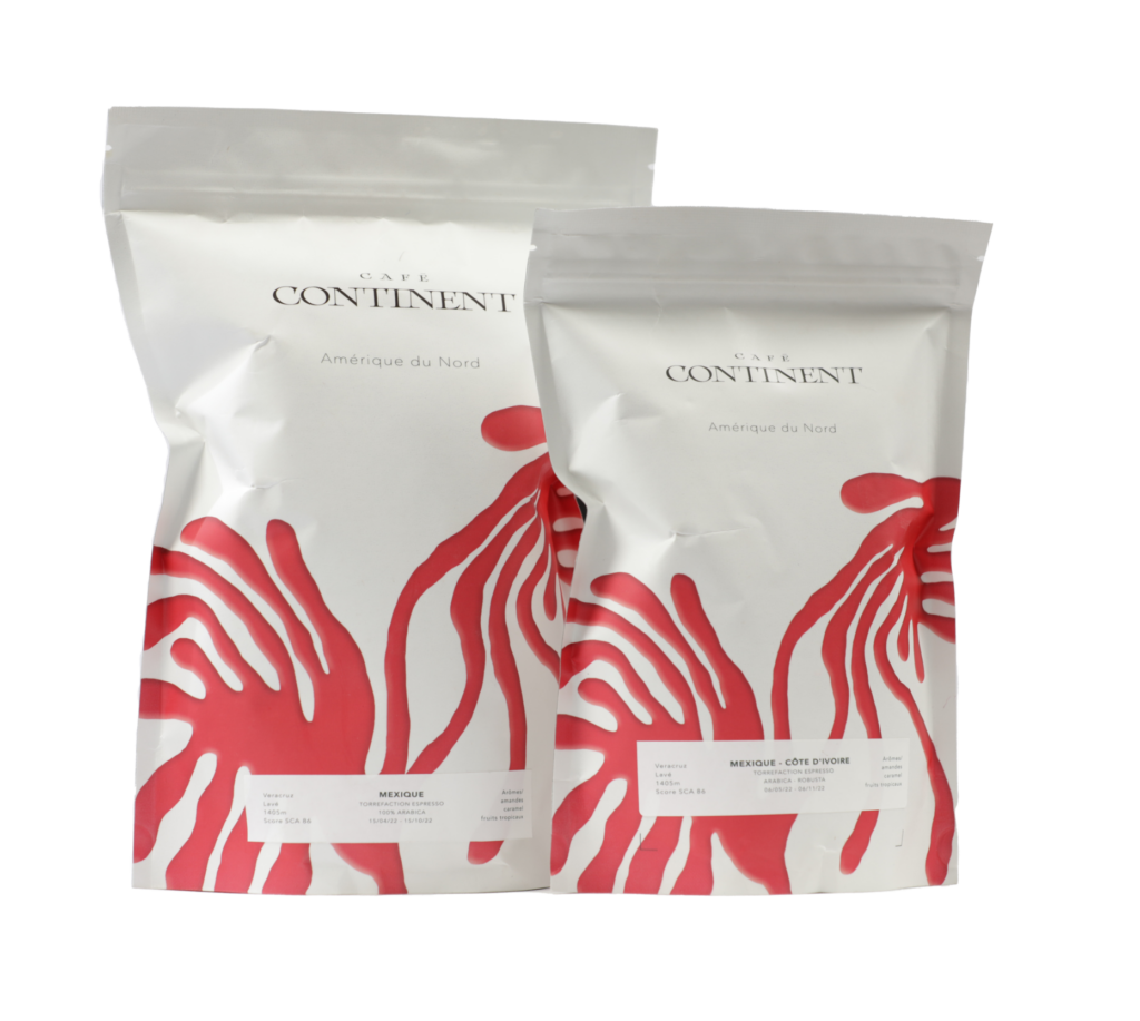 Mexique - Côte d'Ivoire